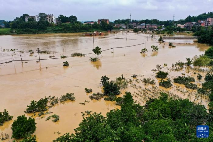 重庆12区县遭遇大暴雨 29条河流出现超警戒水位洪水