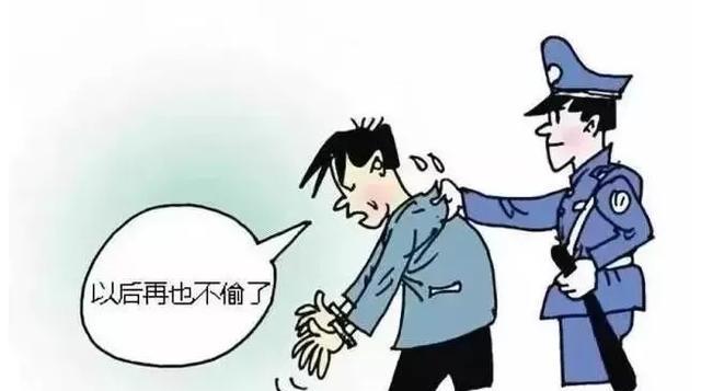 浦江“说”法丨高价快递神秘消失，竟是“内鬼”利用漏洞