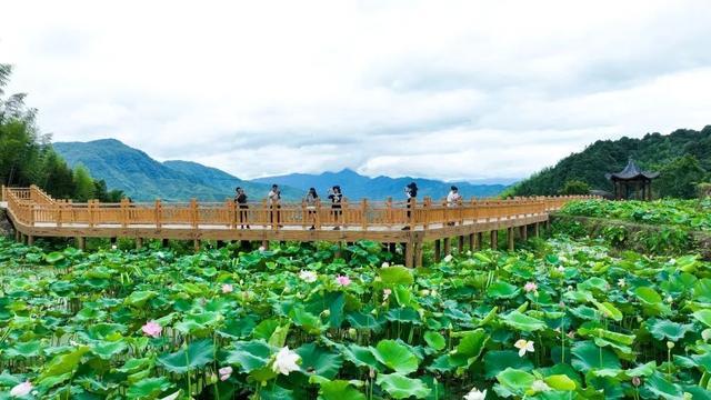 建宁夏季旅游线路推荐！这份乐不思“暑”的游玩攻略，“趁热”收好