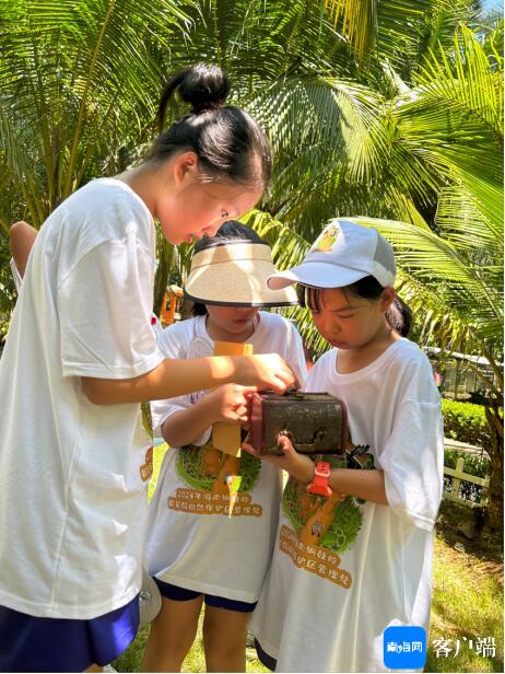 “树里闻歌，枝中见秘”2024年海南铜鼓岭国家级自然保护区中小学生生态文化第二期研学活动成功举办