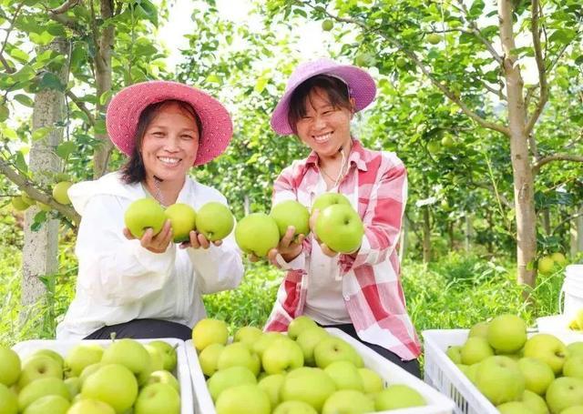 建宁夏季旅游线路推荐！这份乐不思“暑”的游玩攻略，“趁热”收好