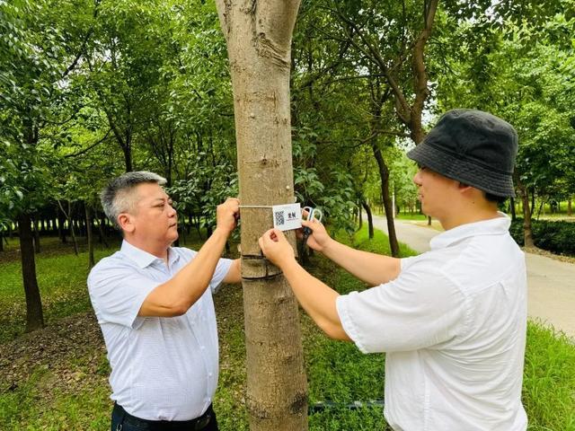 金山森林里的科普基地，你去过吗？