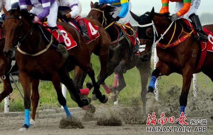 第十二届全国少数民族传统体育运动会马上项目分赛场圆满完赛