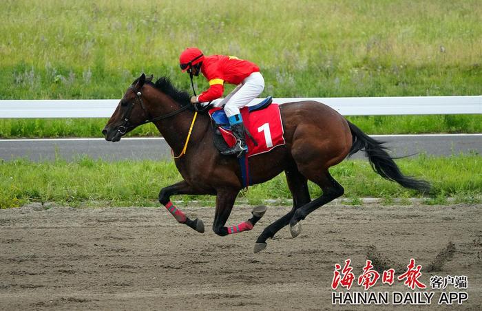 第十二届全国少数民族传统体育运动会马上项目分赛场圆满完赛