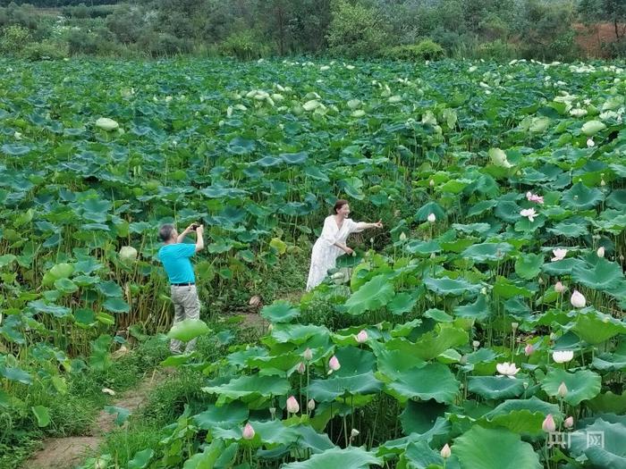 【“村”光灿烂】宝地胜景葡萄香 “客家村”盘活乡村旅游新资源