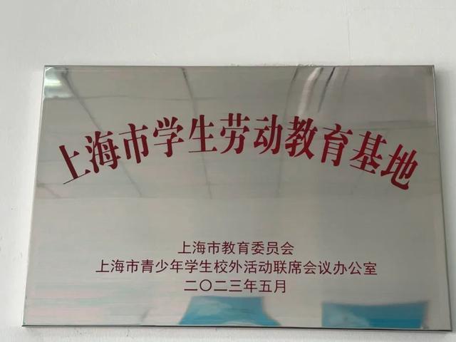 休闲打卡、DIY体验、特价购物……金山这个“梦工厂”你去过吗