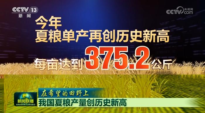 【在希望的田野上】我国夏粮产量创历史新高