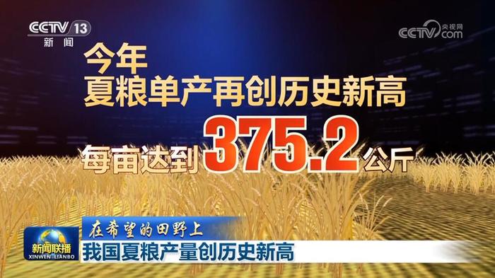 多领域指标创历史新高 数据见证中国经济“拔节向上”