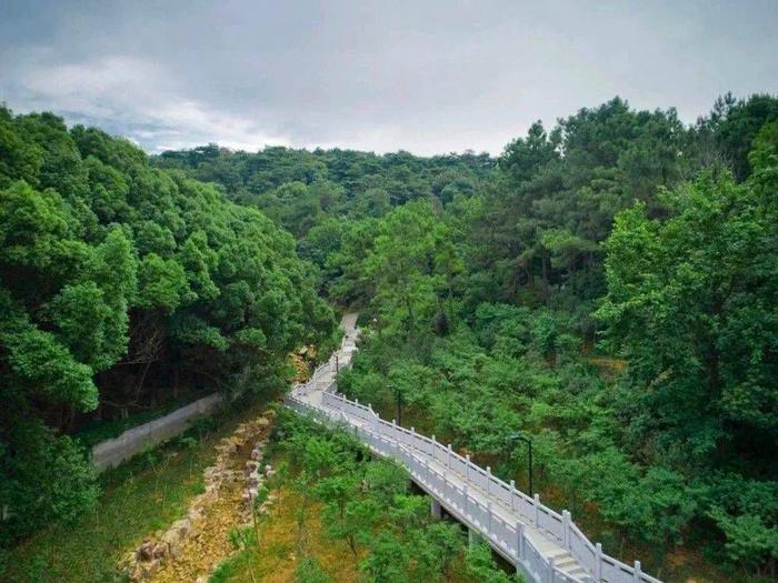 登山追绿，徒步森林步道赏辽阔太湖