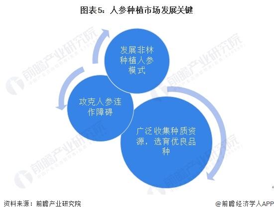 2024年中国人参种植市场发展情况分析 黑龙江省人参播种规模较大【组图】