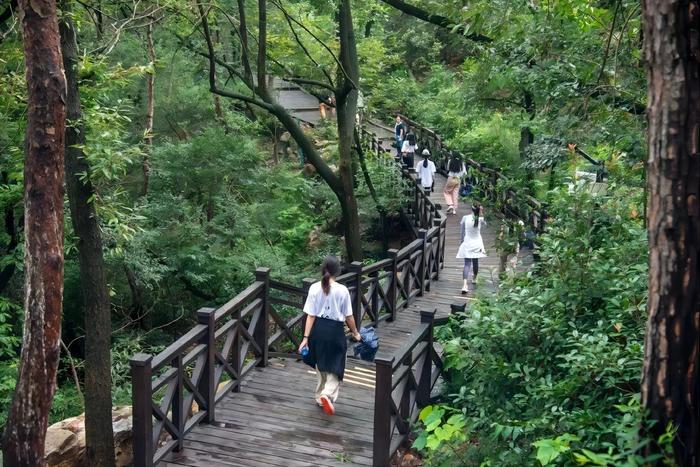 登山追绿，徒步森林步道赏辽阔太湖