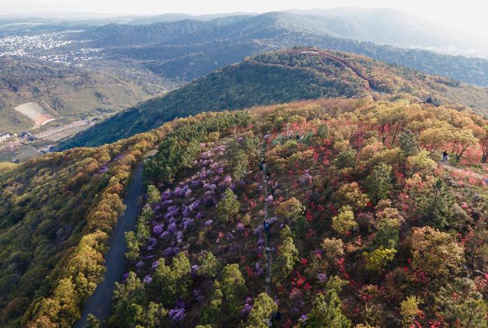 登山追绿，徒步森林步道赏辽阔太湖