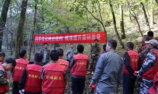 守好祖国林业生态屏障西大门——记甘肃省小陇山林业保护中心东岔林场