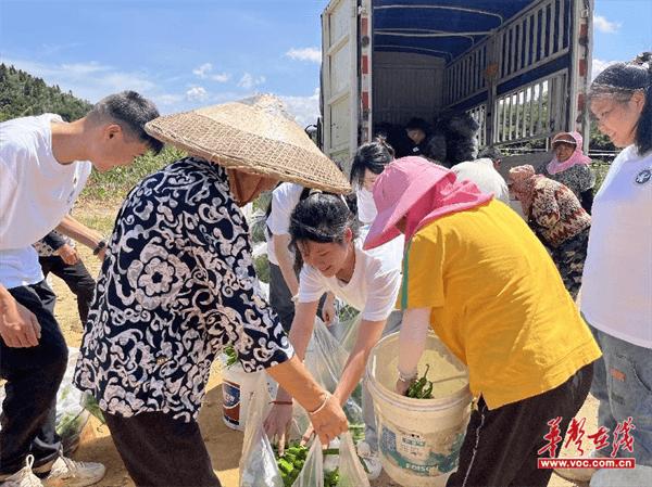 以青春智慧助力乡村振兴  湘邮学子走进郴州瑶岭智慧农业基地开展研学考察