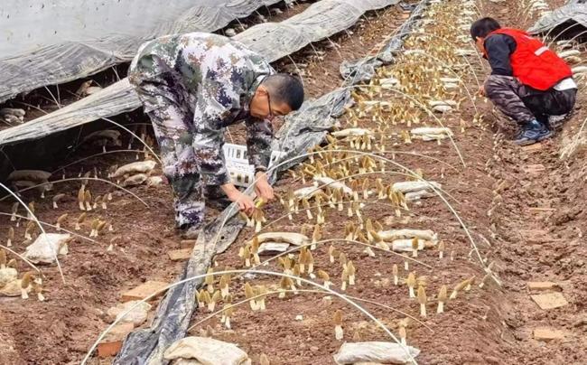 守好祖国林业生态屏障西大门——记甘肃省小陇山林业保护中心东岔林场