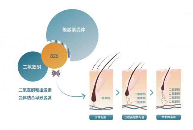 KOSHINE新品上线，解锁防脱生发新方式