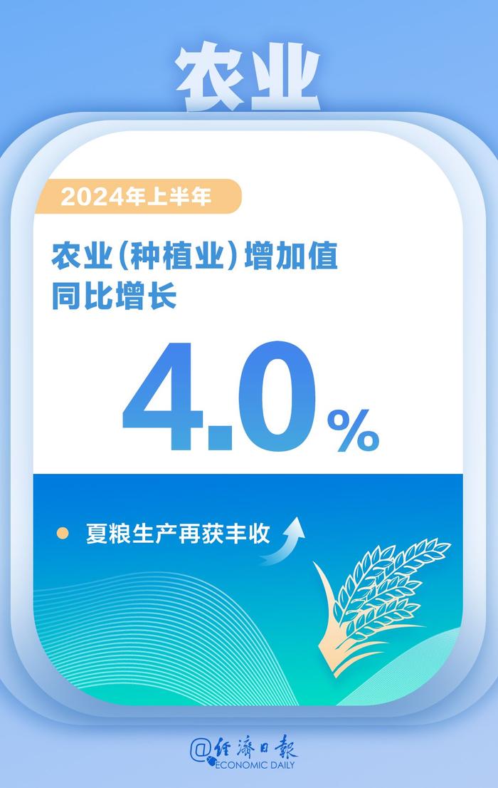 一图数览2024年中国经济半年报