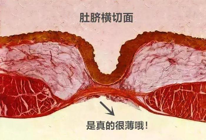 刻在中国人DNA里的习惯：天再热也要把肚子盖上