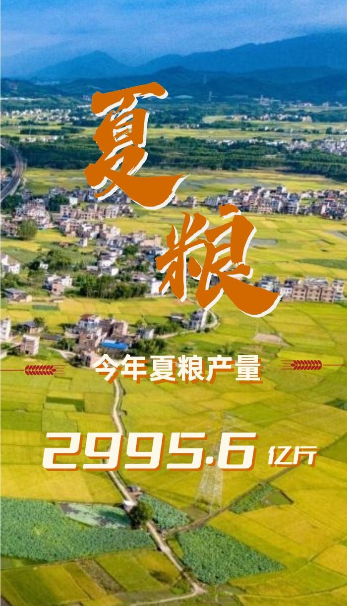 2024中国经济半年报丨全国夏粮获得丰收 农业生产总体平稳