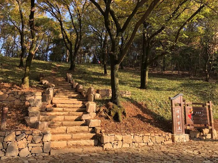 登山追绿，徒步森林步道赏辽阔太湖