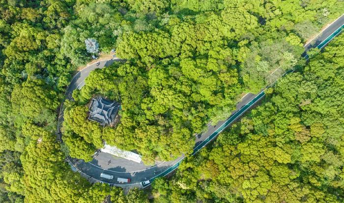 登山追绿，徒步森林步道赏辽阔太湖