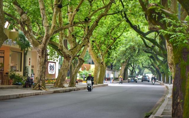 好逛、好玩、好看！一起走进中山街道这些美丽园区→