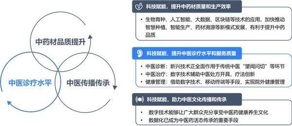 科技赋能，玉玄道引领中医药传承创新