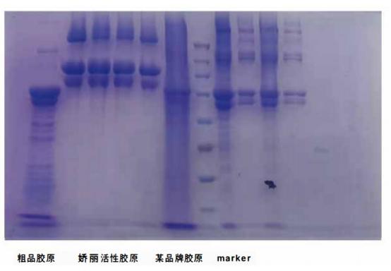 如何低成本抗初老？娇丽护肤指南为您深度解析