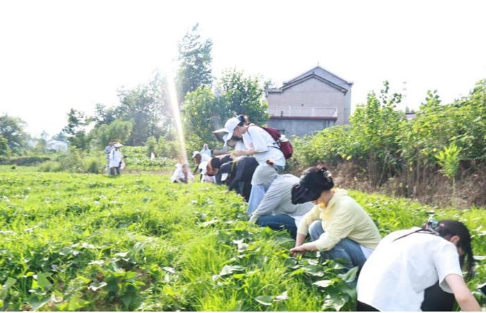 合肥大学语言文化与传媒学院赴六安市裕安区开展暑期“三下乡”社会实践