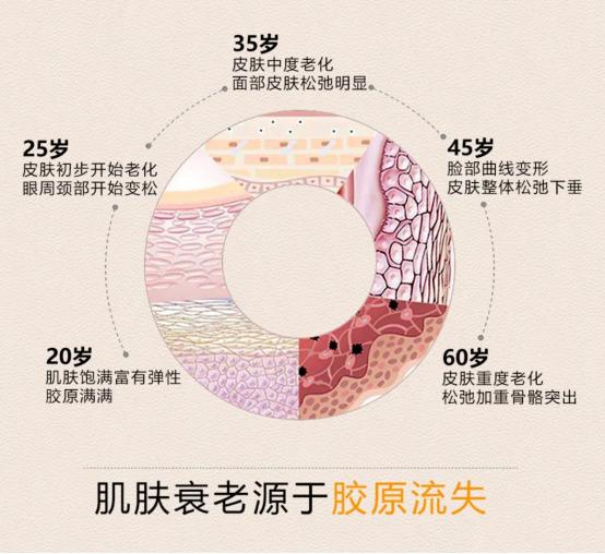 如何低成本抗初老？娇丽护肤指南为您深度解析