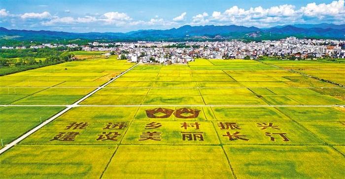 《经济日报》头版头条刊发：龙岩奋发