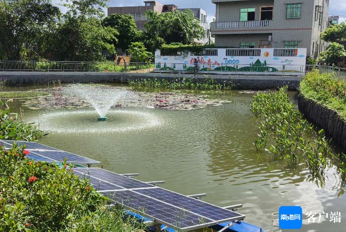 建立“五位一体”体系 海口推进农村黑臭水体治理运维长效管理