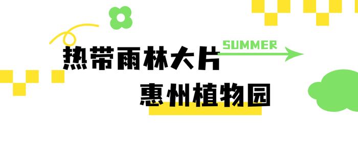 收藏这篇惠州免费户外亲子游攻略，暑假放肆野！