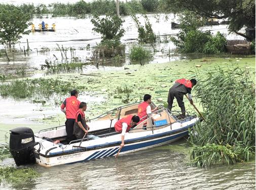 肥西严店镇：干群联动 擦亮巢湖“名片”