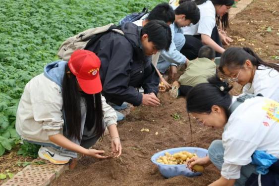 下乡实践联盟团“金色田园-用马铃薯托起农民致富梦”青春之行（研学篇）：奔赴“中国马铃薯良种之乡”