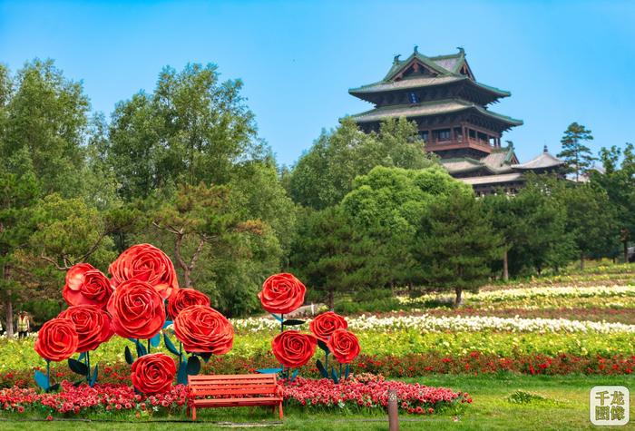 "绣"出盛夏浪漫   北京国际花园节迎来最美绣球盛花期（多图）