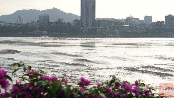 C视频丨水位陡涨超5米！三年来最大洪峰过境宜宾