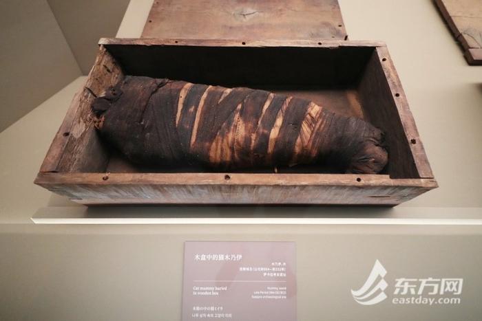 上博古埃及文明大展788件文物、3000平方米展陈，从何逛起？这份参观攻略替你做功课