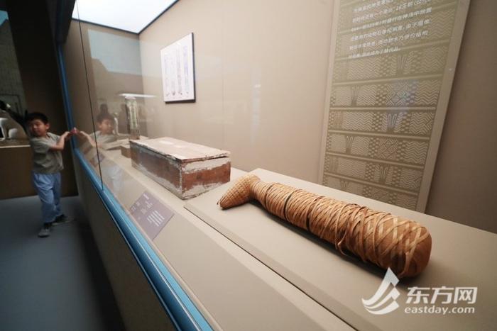 上博古埃及文明大展788件文物、3000平方米展陈，从何逛起？这份参观攻略替你做功课