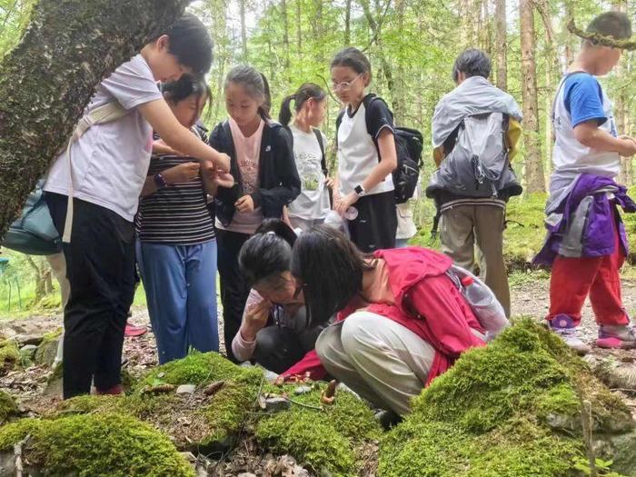 奇妙自然，大美青海：北京市少年宫开展自然科普教育活动