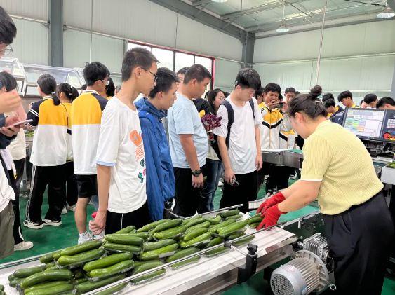 西安思源中学劳动教育及科学教育实践基地 | 高山蔬菜园的科学探索与成长之旅