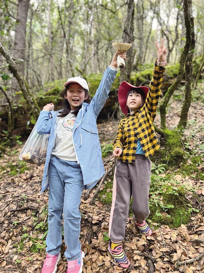 领略自然风光、体验非遗……