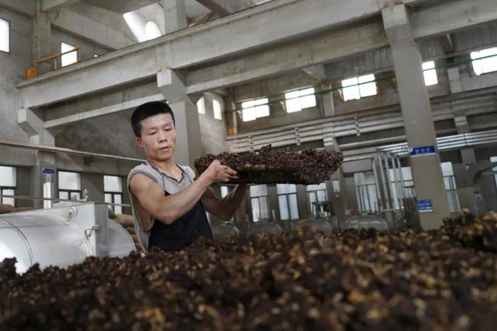 硬技能「卷」出好品质 匠心独具 干劲十足 酿好酒