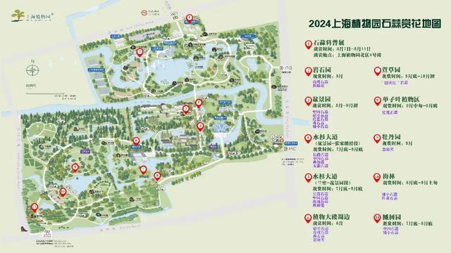 2024上海植物园石蒜赏花季明日拉开序幕