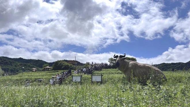 西安思源中学劳动教育及科学教育实践基地 | 高山蔬菜园的科学探索与成长之旅