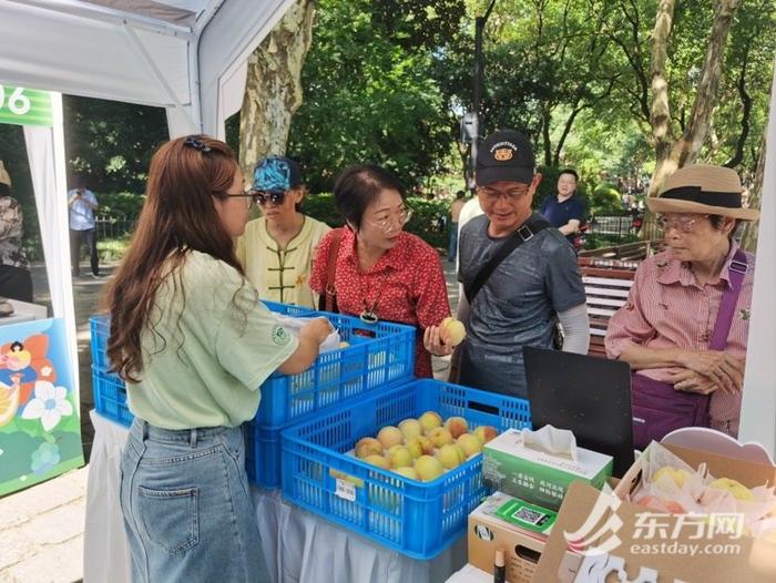 优质本地水果进公园，三伏天品尝“早上在枝头、中午到舌尖”的新鲜