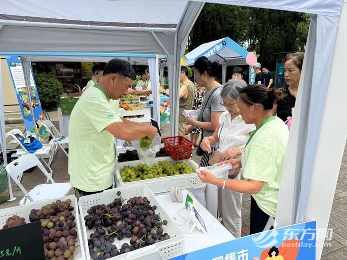 优质本地水果进公园，三伏天品尝“早上在枝头、中午到舌尖”的新鲜