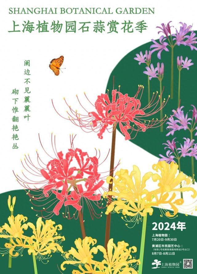 2024上海植物园石蒜赏花季明日拉开序幕