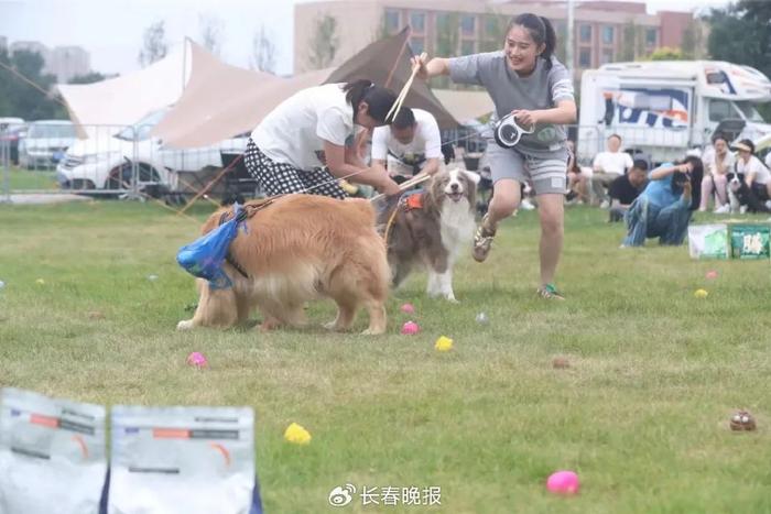 净月高新区“文明养犬 宠爱有方”主题活动启幕