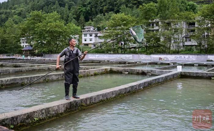 C视觉 | 彭水：田园综合体与泉水养鱼成为新的“致富经”